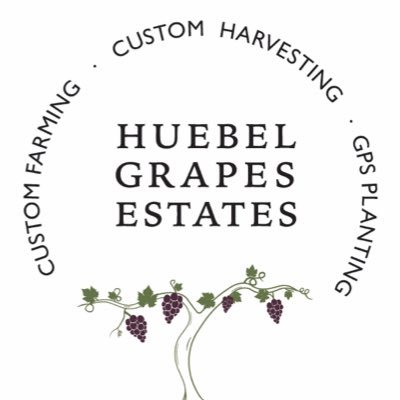 Providing premium viticulture services for the Niagara Region with a focus on top-quality grapes, sustainability, and innovation.