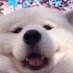 Sandboxie7473 (@sandboxie7473) Twitter profile photo Sandboxie7473 (@sandboxie7473) Twitter profile photo