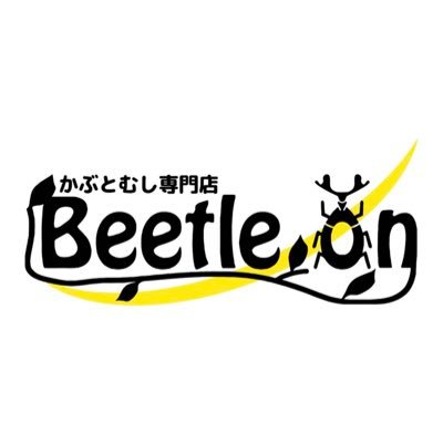 Beetle on(ビートロン) 仙台店