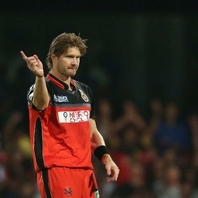 humanfirst__'s profile picture. Nature Lover 🐾🐦🐚🦋🌷🌺🌳🌸🌼🍀🍁