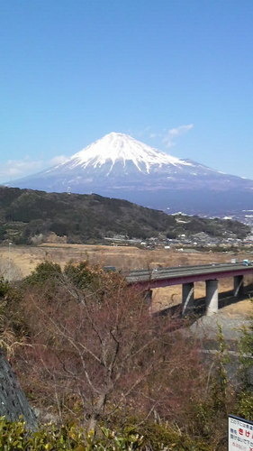 静岡県ふじのくに防災士／応急手当普及員／静岡県環境学習指導員／静岡まちづくりマスター／ふじのくに地球環境史ミュージアム／静岡県防犯アドバイザー協会／身近な応急手当／温泉ソムリエ／温泉入浴指導員／マンホーラー／ロゲッター／ご当地カード集め／特撮／#ウナギ・サヤカ／#ひつま武士／#安納サオリ／#AZM／#舞華／