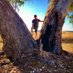 Trees etc. (@arborsmarty) Twitter profile photo Trees etc. (@arborsmarty) Twitter profile photo