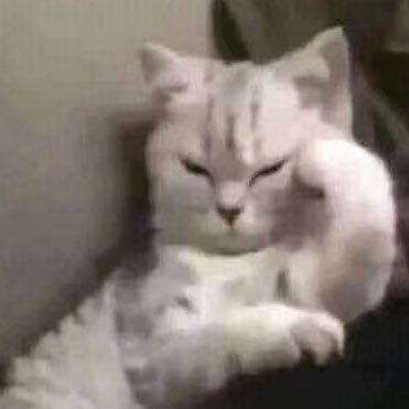 ieloさんのプロフィール画像