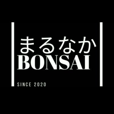 ミニ盆栽やってます。 初心者の方や、若い人に、興味を 持ってもらえるようにYouTube動画 をアップしたり、手作り市で売店を 出したりして、ミニ盆栽人口を増や したいと活動中！ You Tube始めました。 ネットショップ始めました。 https://t.co/ifjqhAlZDI