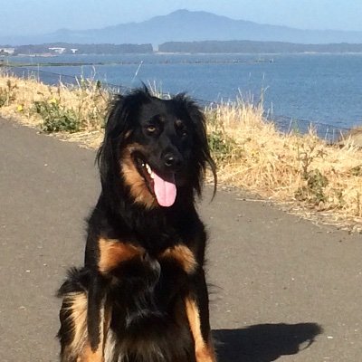 zippysfun's profile picture. Are We Having Fun Yet?