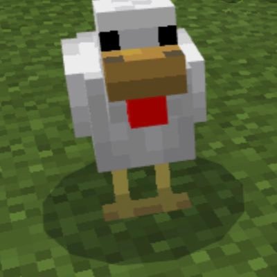 Vinny’s Minecraft Chicken