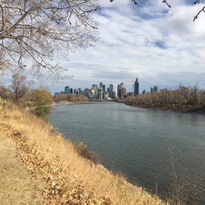 RobkMacLeod's profile picture. 