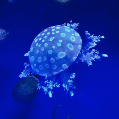 ちまちまと、気ままに。なんかゲームやってます。基本的に無言です。20↑。やりたい新しいゲームに手を出す時間が欲しいきもち。mmdにそっと手を出しました(個人用)。描けば出る神を信仰。最近は作れば出る神になりつつある。