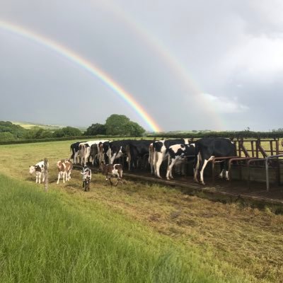 Mid Devon mixed farmer. Drawn towards dairy from a young age. Interests. Sustainable environmentally friendly farming. Support British industry. Anything sport.