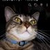 ............. (@jc7c7cvrjmk1rfv) Twitter profile photo ............. (@jc7c7cvrjmk1rfv) Twitter profile photo