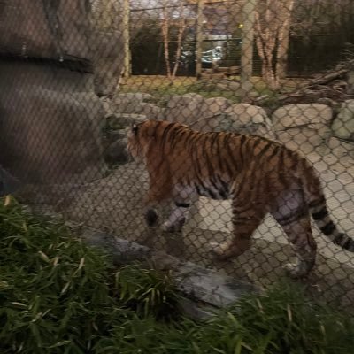 JClapp49's profile picture. 