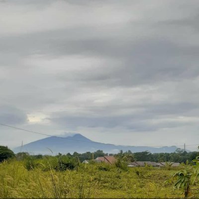 anggun112233's profile picture. 