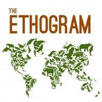 The Ethogram(@TheEthogram) 's Twitter Profile Photo