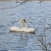 Daventry Park Rangers (@daventrycp) Twitter profile photo Daventry Park Rangers (@daventrycp) Twitter profile photo