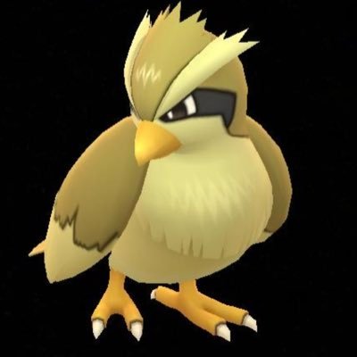 CrzyPidgeyLady