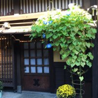 Rool🩵 (@rool79065504) 's Twitter Profile Photo