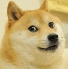 dogecoin
