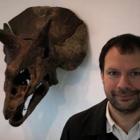 Colin Fernandez (@colin_gram) 's Twitter Profile