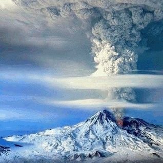 skutelnik82bk's profile picture. 