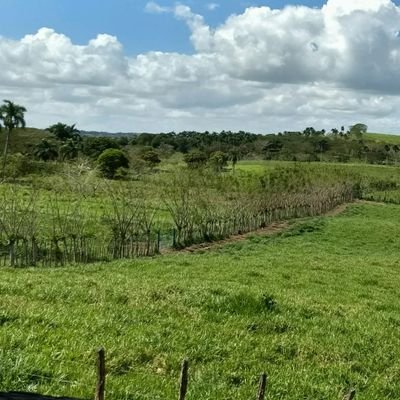 Quiero saber de dónde son los cantantes.
Antiuribista
No más botas al revés.
En Colombia la realidad supera la ficción.
Ateo de extrema.
Mi lado es el zurdo