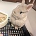ポコ丸🐇 (@poko_rabbitlife) Twitter profile photo ポコ丸🐇 (@poko_rabbitlife) Twitter profile photo