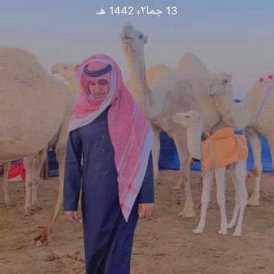 Ixcrnhw7E2RnvrD's profile picture. شاعر