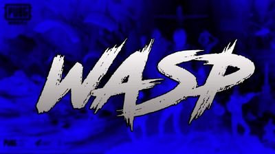 Waspi45543485's profile picture. 