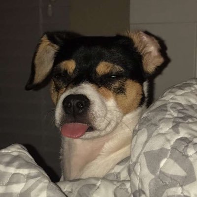 Laggybutmoist1's profile picture. 