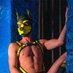 pup_geel (@geelpup) Twitter profile photo pup_geel (@geelpup) Twitter profile photo