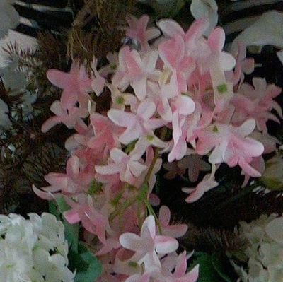 Sos20208's profile picture. cantar por hobbives mi pasión