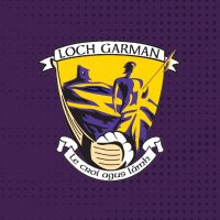 Wexford GAA (@officialwexgaa) 's Twitter Profile