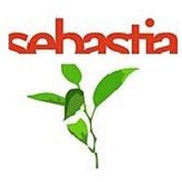 Fustes Sebastia (@fustessebastia) 's Twitter Profile