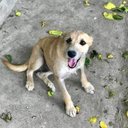 felipe lamas - @felipelamas6 - Twitter