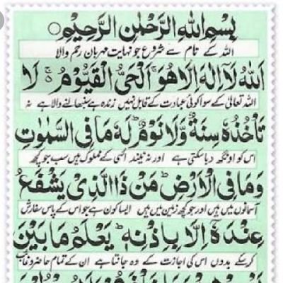 MArshad37106777's profile picture. moiz