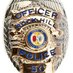 Rock Hill PD (@rockhillpd) Twitter profile photo