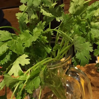 O8izXa's profile picture. 成人済み。CH（原作アニメ映画等々履修済み）は永遠の推し　他 NARUBORU主にシカテマ・金カム・るーみっく、BJやCOBRAも推し