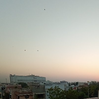 go_kshitij's profile picture. Dp.... loading.... error