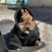 McGiggins1's profile image
