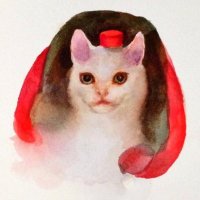 사탕고양 (@junenyanko) 's Twitter Profile Photo