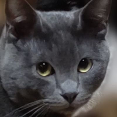 kumakic70473050's profile picture. 愛猫
一級施工管理(H23)
二級建築士(H21)