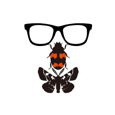 moth_love Profile Picture