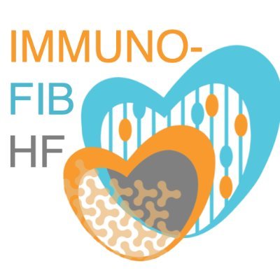 account of the ImmunoFibHF network funded by the Leducq foundation. #heart failure #fibrosis The inflammatory-Fibrosis Axis in Ischemic Heart Failure