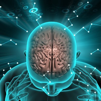 SmartQuiz3's profile picture. This is the official twitter for SmartQuiz