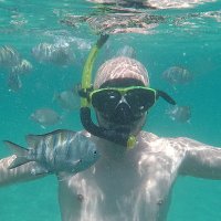 Murilo Allevato (@murilexrj) 's Twitter Profile