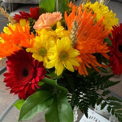 plantlady1950's profile picture. 