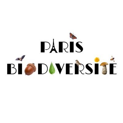 Pour tout savoir et tout comprendre sur la #biodiversité parisienne ! #paris #nature #environnement #EEDD #faune #flore #sauvage #écologie #copropriété