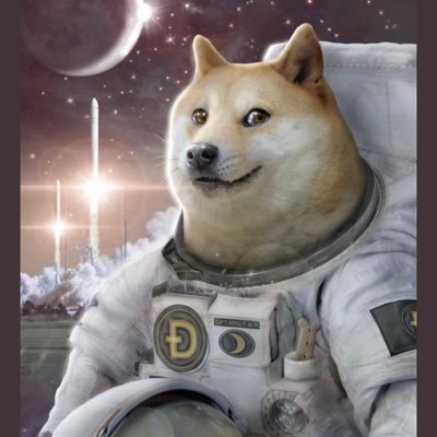 #DOGETOTHEMOON #dogeto$1 #holdtheline