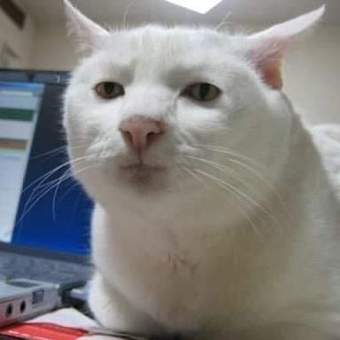 phofxd's profile picture. 