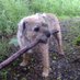 Highlander (@radgeworlds) Twitter profile photo Highlander (@radgeworlds) Twitter profile photo