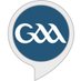 GAA on RTE Sport (@gaaonrte) Twitter profile photo